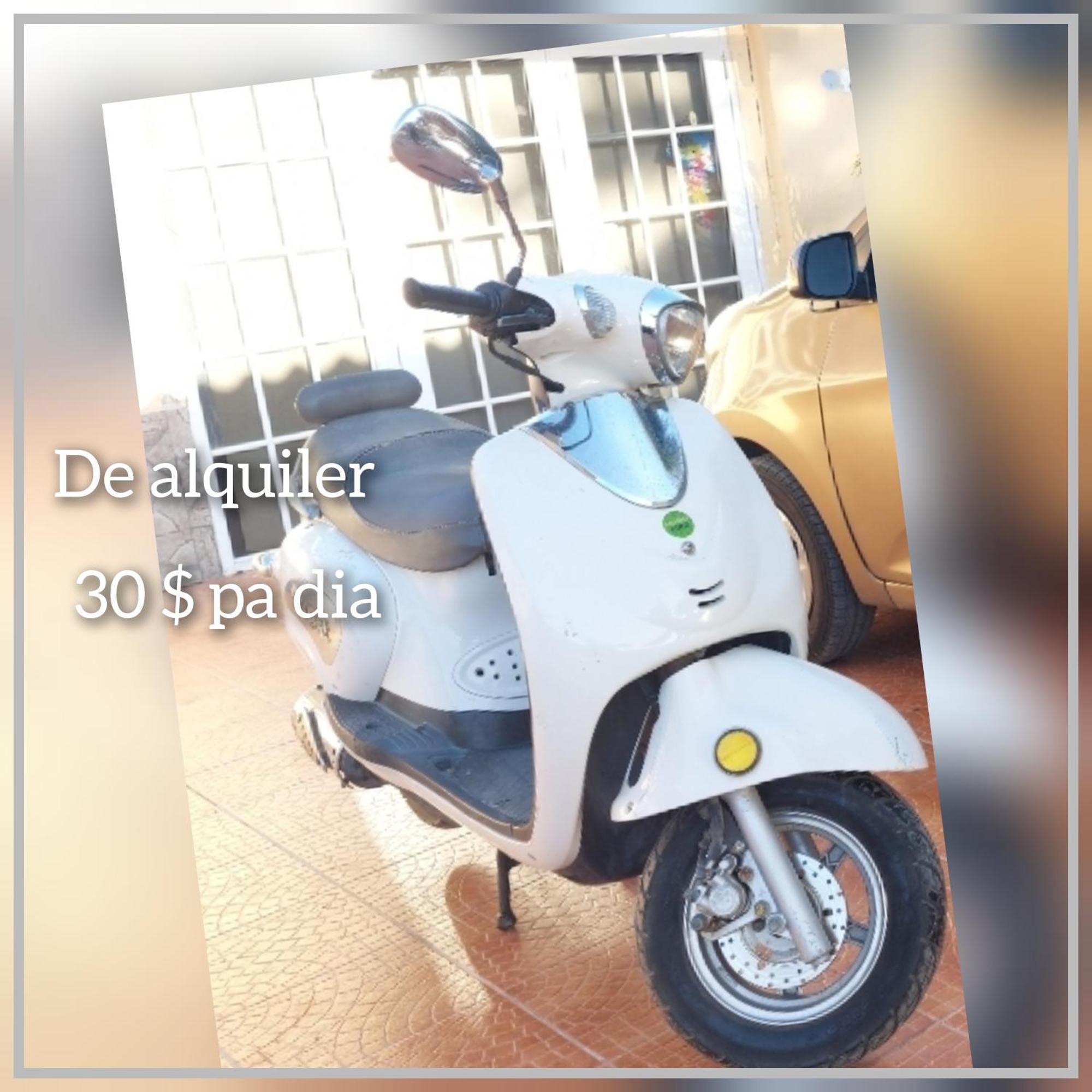Mi Hogar Daire Julianadorp Dış mekan fotoğraf